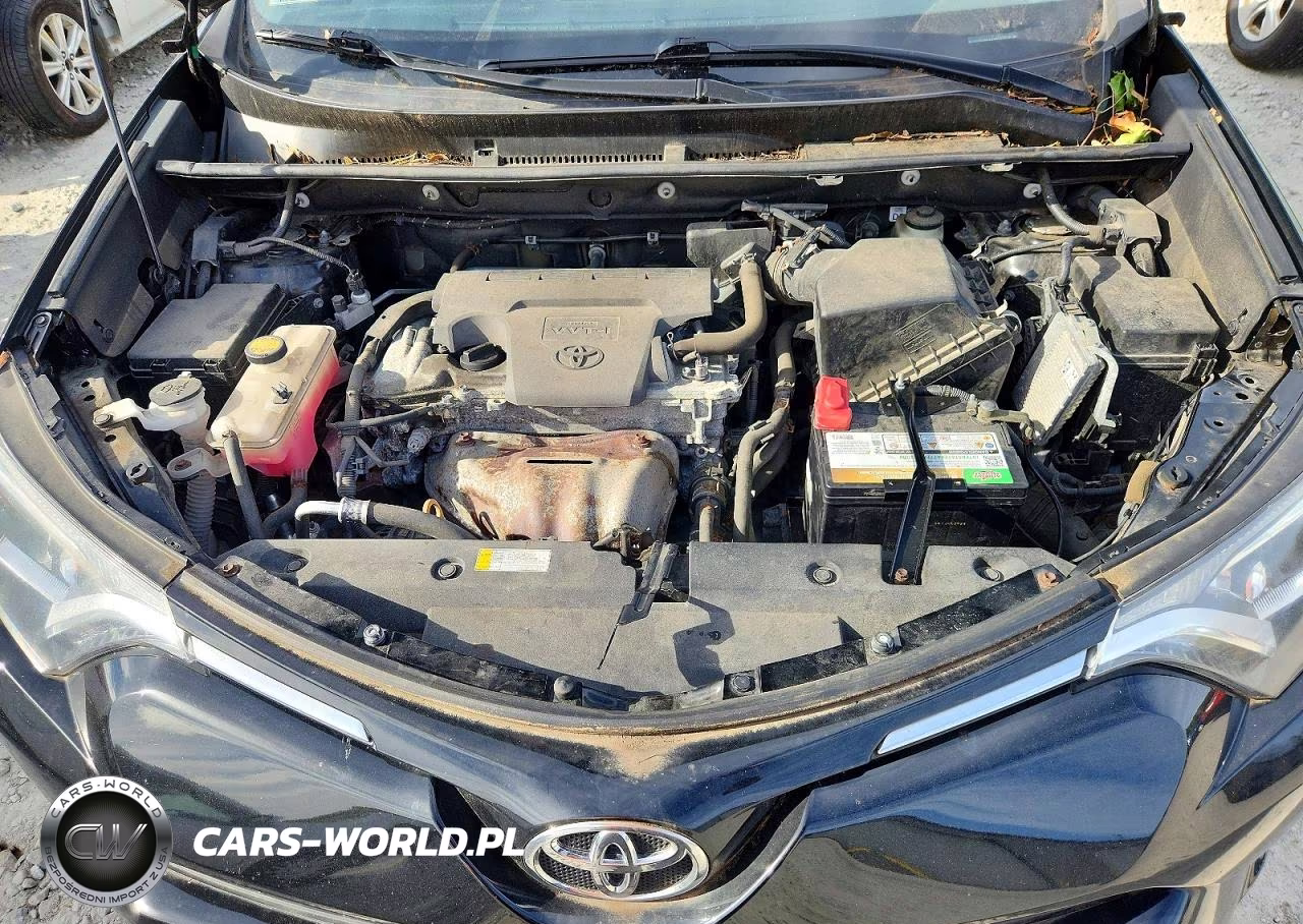 2016 Toyota Rav4 Xle VIN:2T3RFREV2GW480028 - 12
