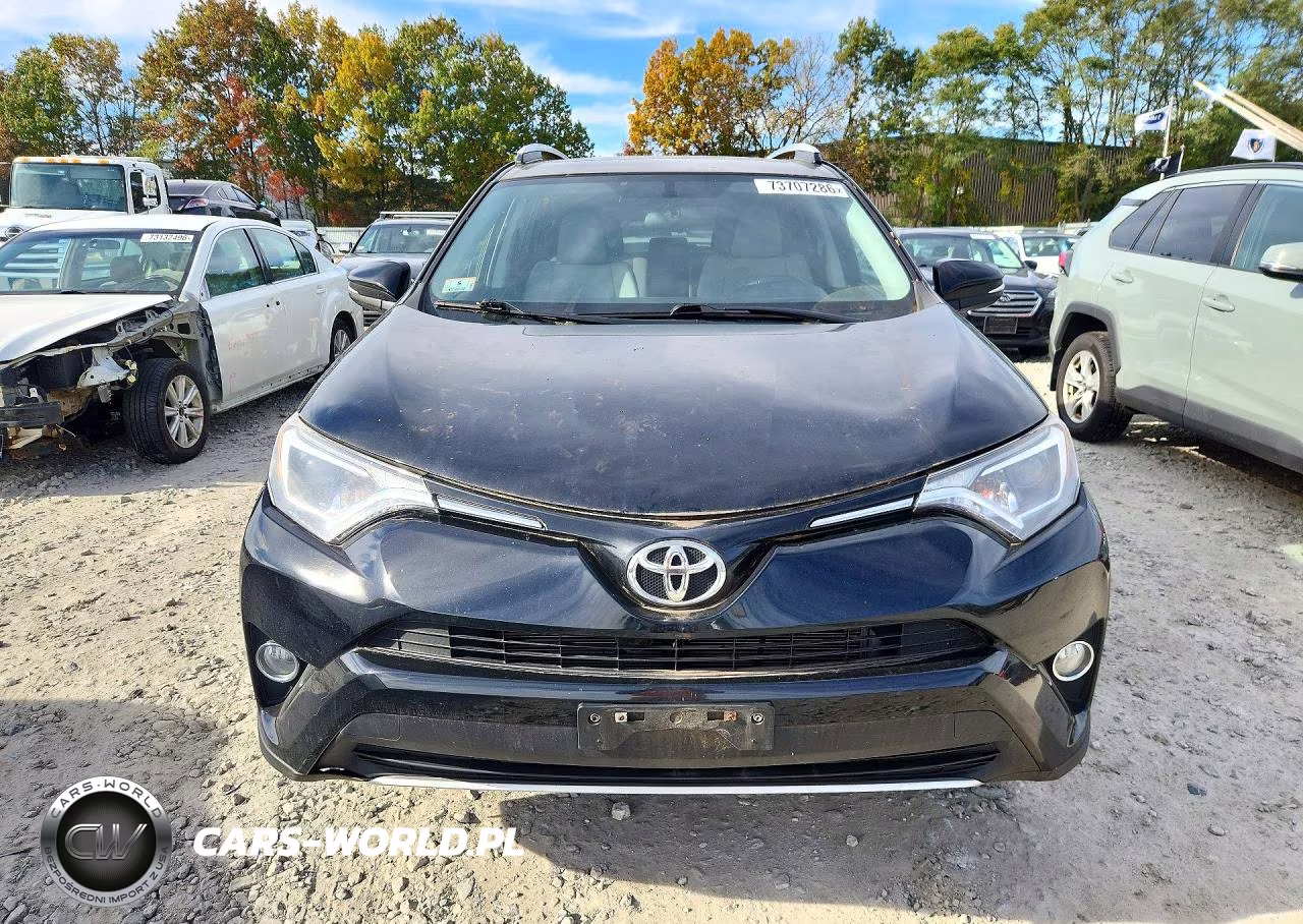 2016 Toyota Rav4 Xle VIN:2T3RFREV2GW480028 - 5