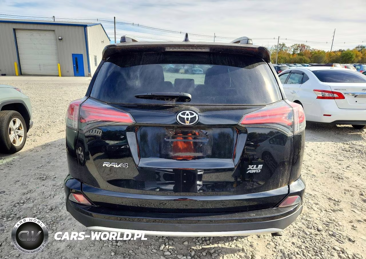 2016 Toyota Rav4 Xle VIN:2T3RFREV2GW480028 - 6