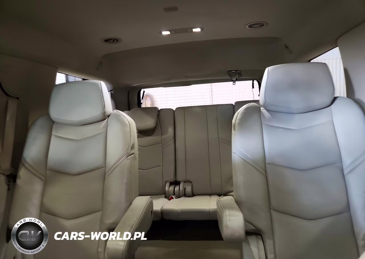 2015 Cadillac Escalade Luxury VIN:1GYS4MKJ2FR690519 - 10