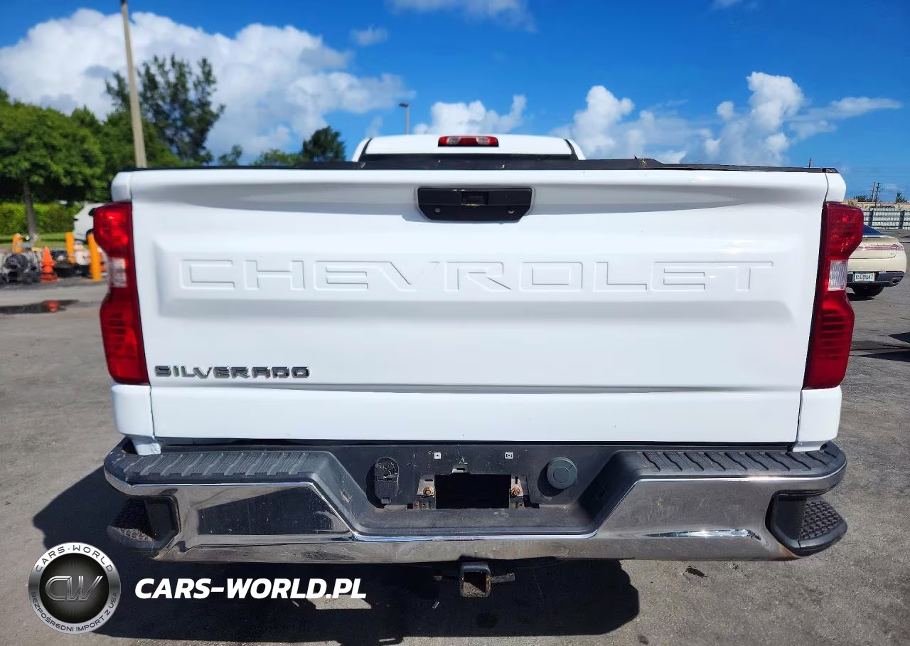 2020 Chevrolet Silverado C1500 VIN:3GCNWAEF4LG289374 - 6
