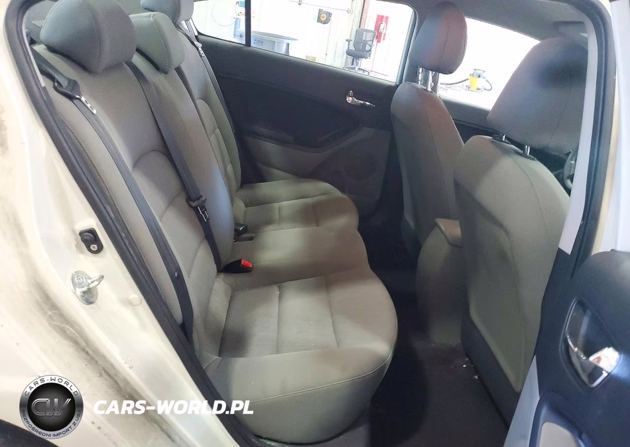 2015 Kia Forte Lx VIN:KNAFK4A64F5354191 - 10