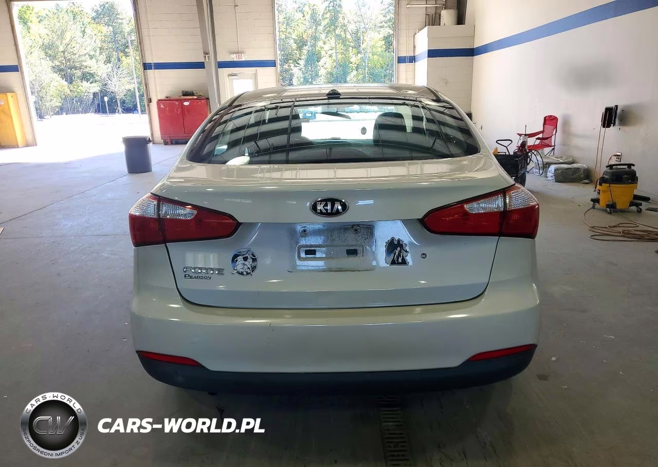 2015 Kia Forte Lx VIN:KNAFK4A64F5354191 - 6