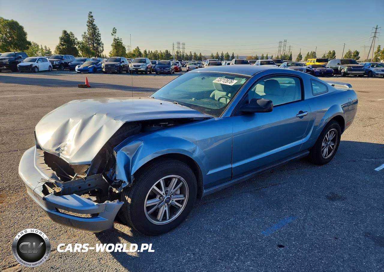 2005 Ford Mustang VIN:1ZVFT80N255121549 - 1