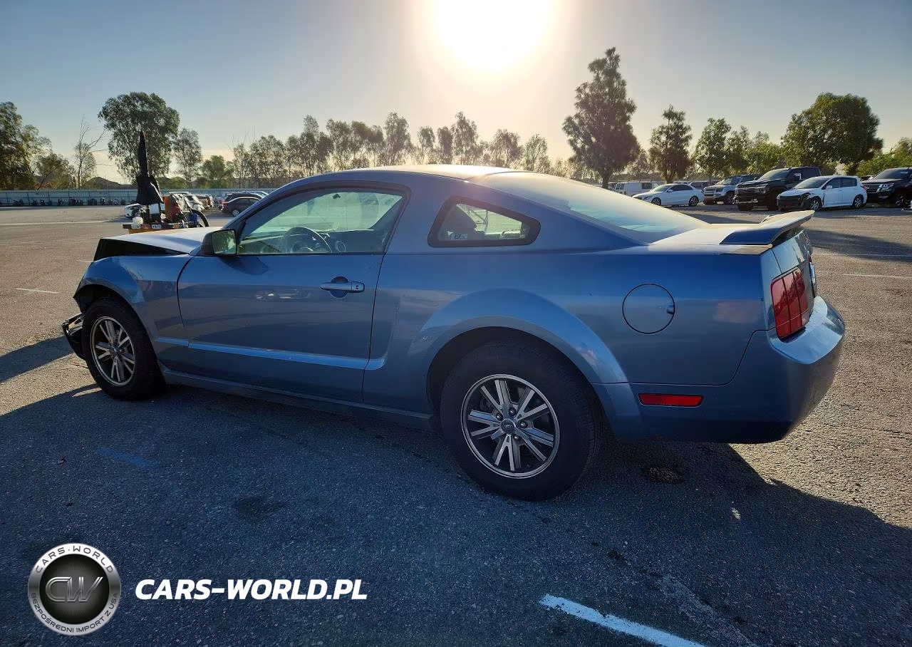 2005 Ford Mustang VIN:1ZVFT80N255121549 - 2