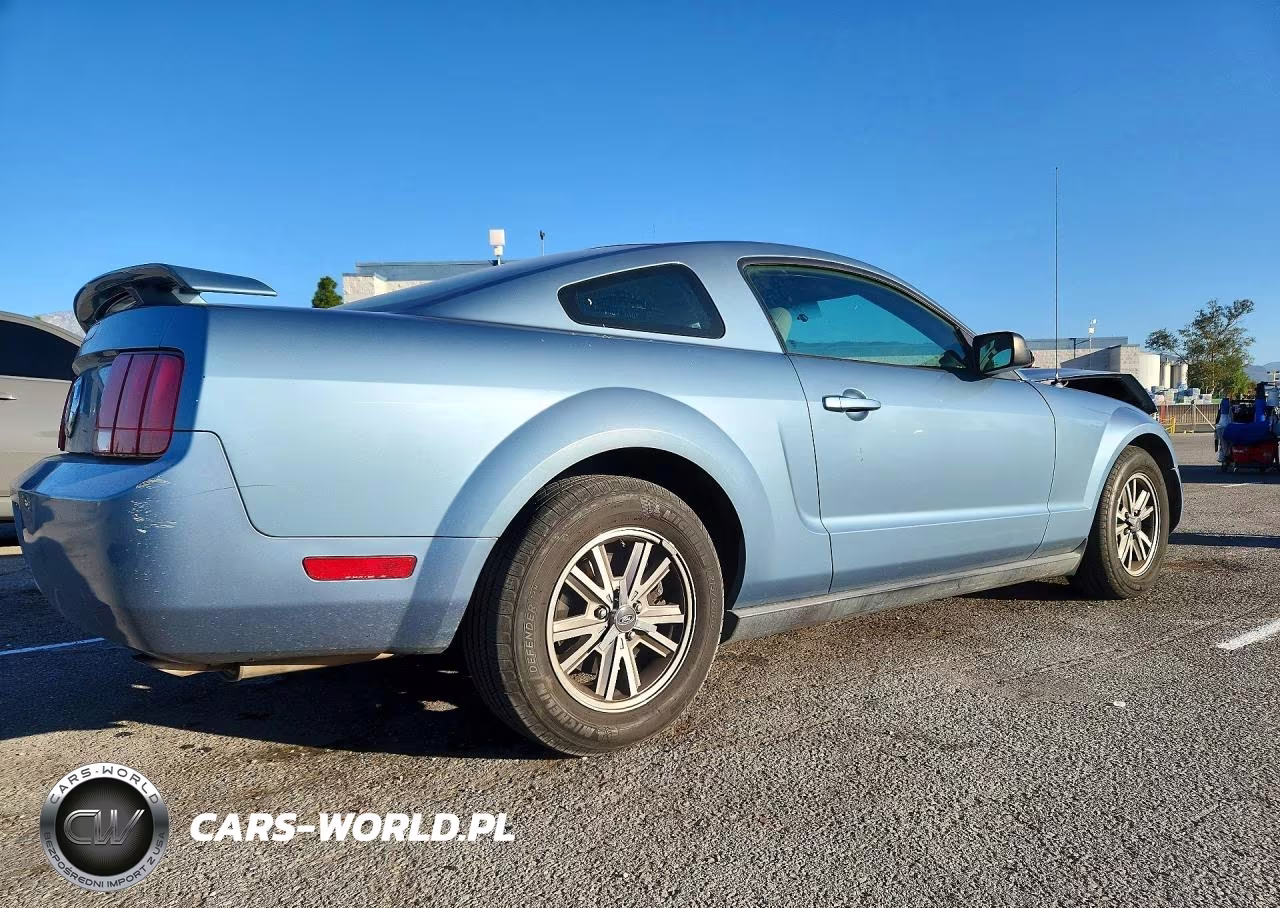 2005 Ford Mustang VIN:1ZVFT80N255121549 - 3