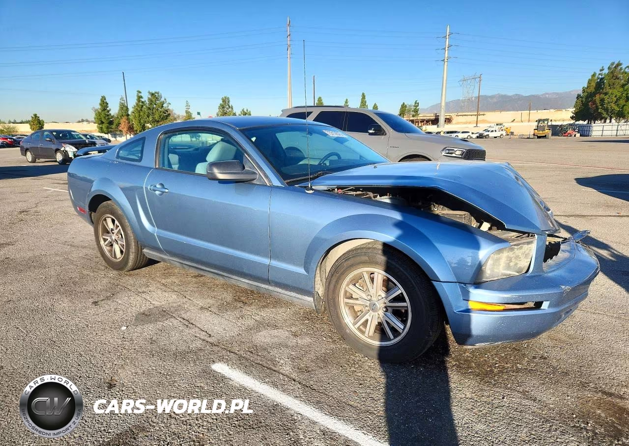 2005 Ford Mustang VIN:1ZVFT80N255121549 - 4