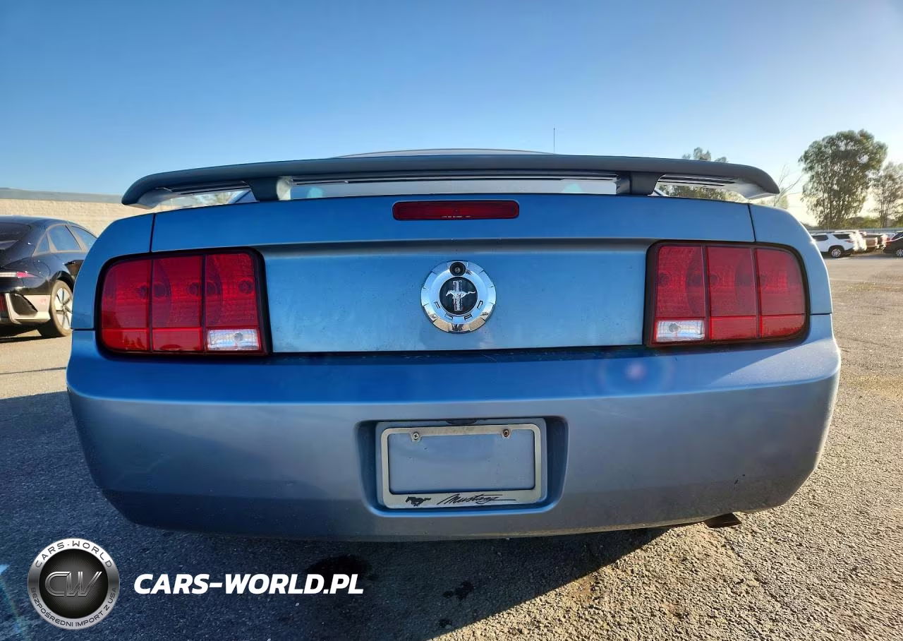 2005 Ford Mustang VIN:1ZVFT80N255121549 - 6