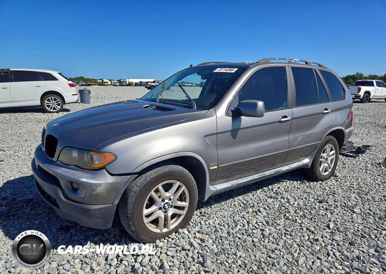 2006 BMW X5 3.0I VIN:5UXFA13546LY27977 - 1
