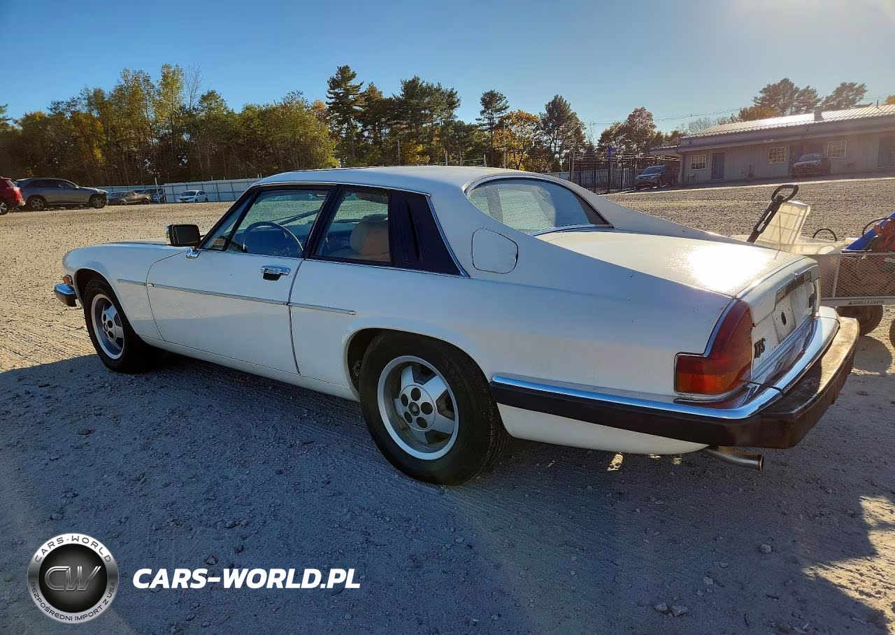 1986 Jaguar Xjs VIN:SAJNV5840GC125649 - 2
