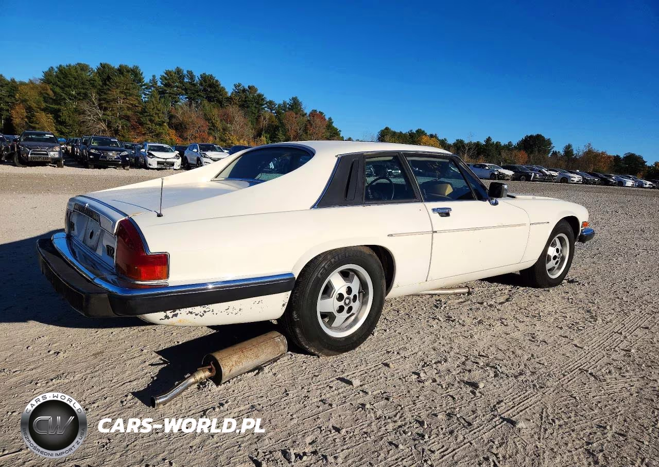 1986 Jaguar Xjs VIN:SAJNV5840GC125649 - 3