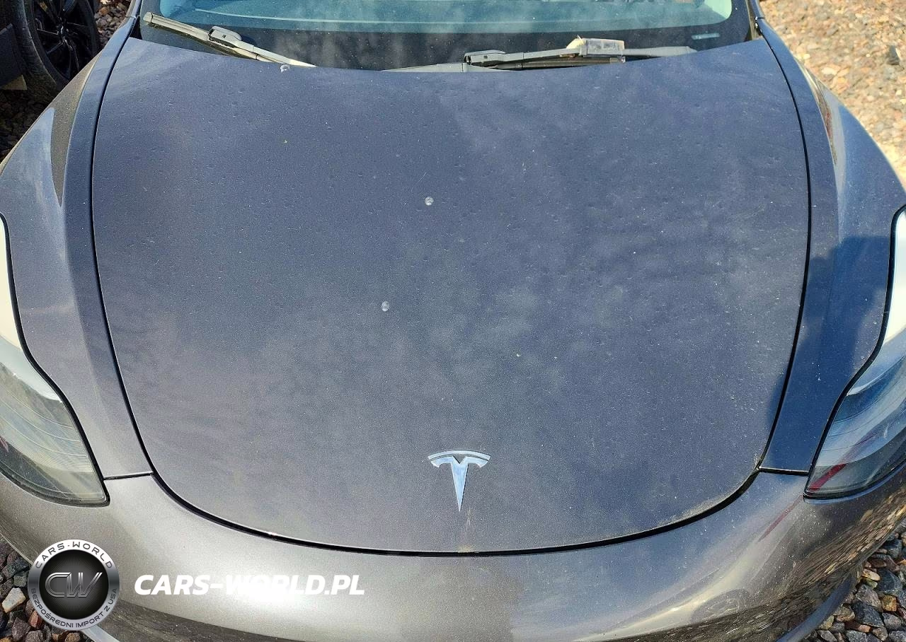 2023 Tesla Model 3 VIN:5YJ3E1EA9PF459772 - 11