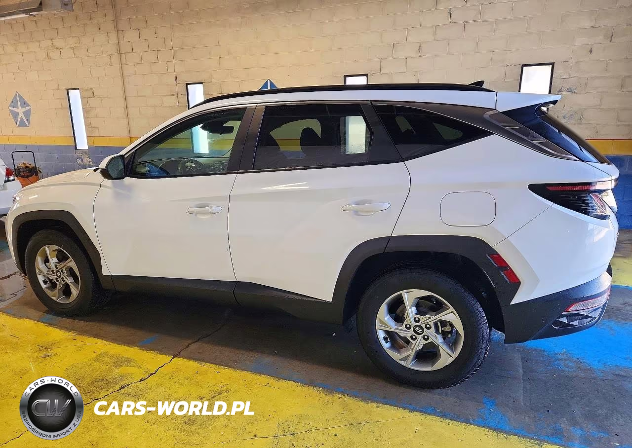 2023 Hyundai Tucson Sel VIN:5NMJBCAE7PH187757 - 2