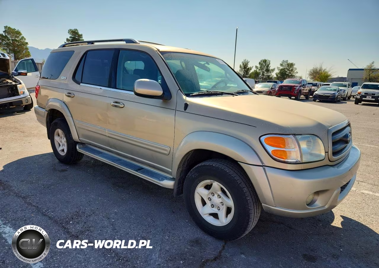2002 Toyota Sequoia Sr5 VIN:5TDBT44A12S089507 - 4