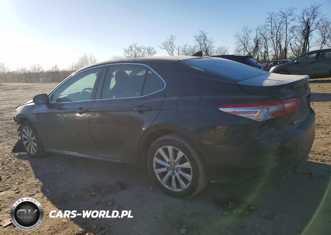 2020 Toyota Camry Le VIN:4T1C11AK4LU932579 - 2
