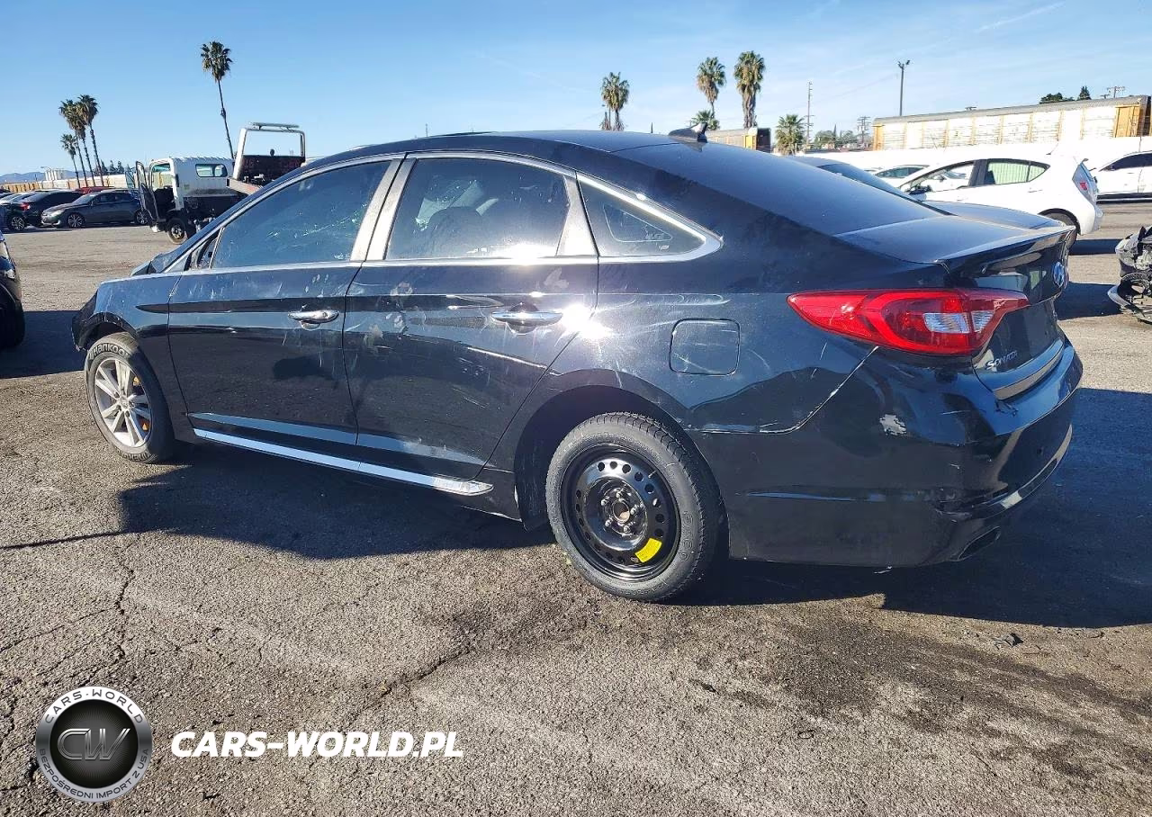 2016 Hyundai Sonata Sport VIN:5NPE34AF3GH436037 - 2