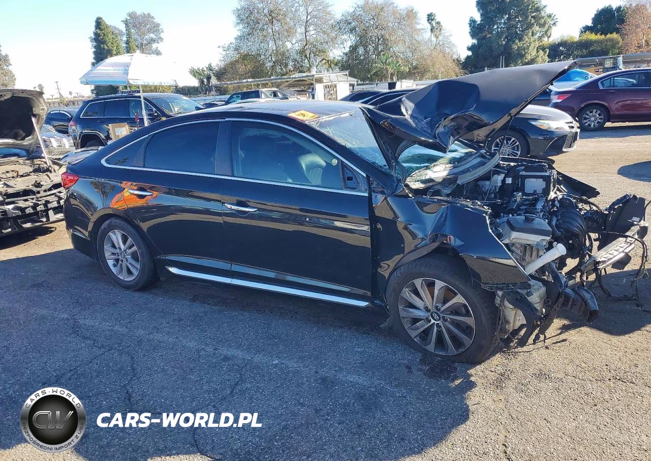 2016 Hyundai Sonata Sport VIN:5NPE34AF3GH436037 - 4