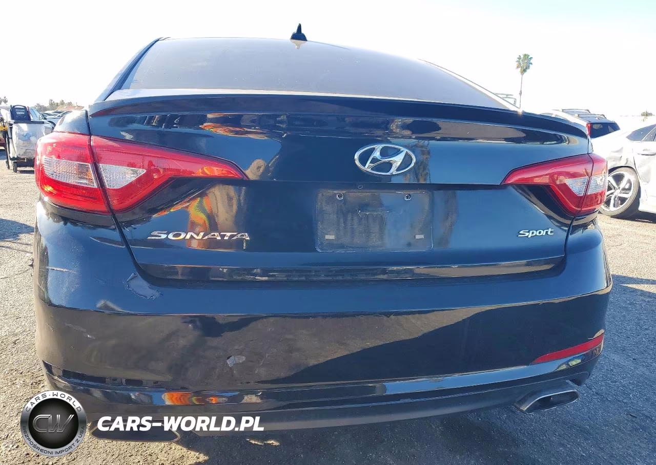 2016 Hyundai Sonata Sport VIN:5NPE34AF3GH436037 - 6