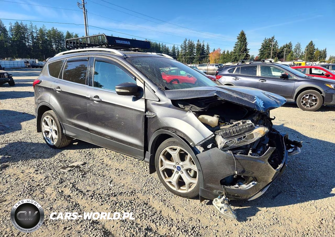 2019 Ford Escape Titanium VIN:1FMCU9J95KUA42416 - 4