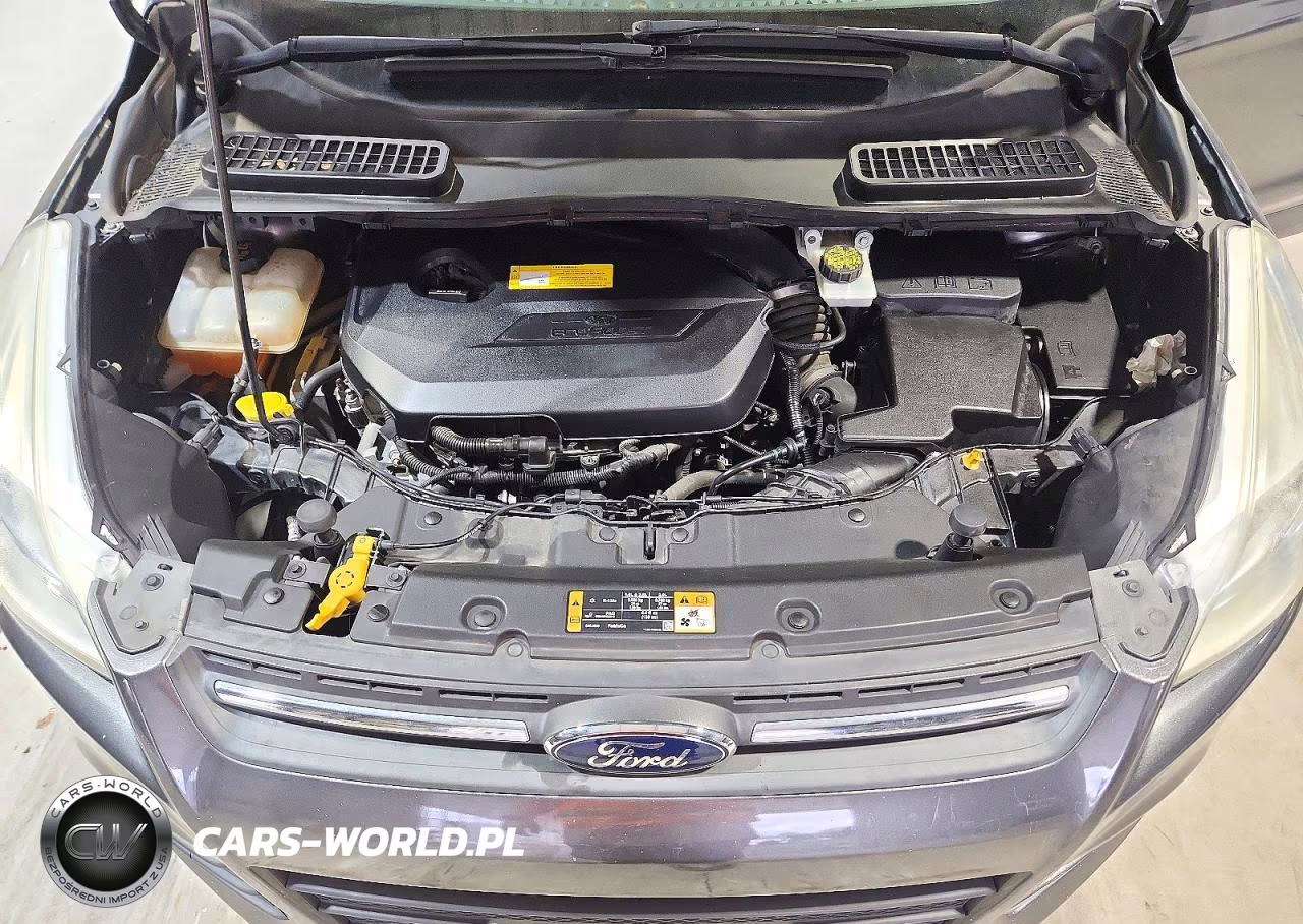 2016 Ford Escape Se VIN:1FMCU0GX2GUC19898 - 12