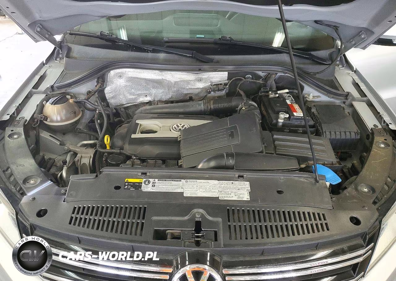 2015 Volkswagen Tiguan S VIN:WVGBV7AX6FW506013 - 11