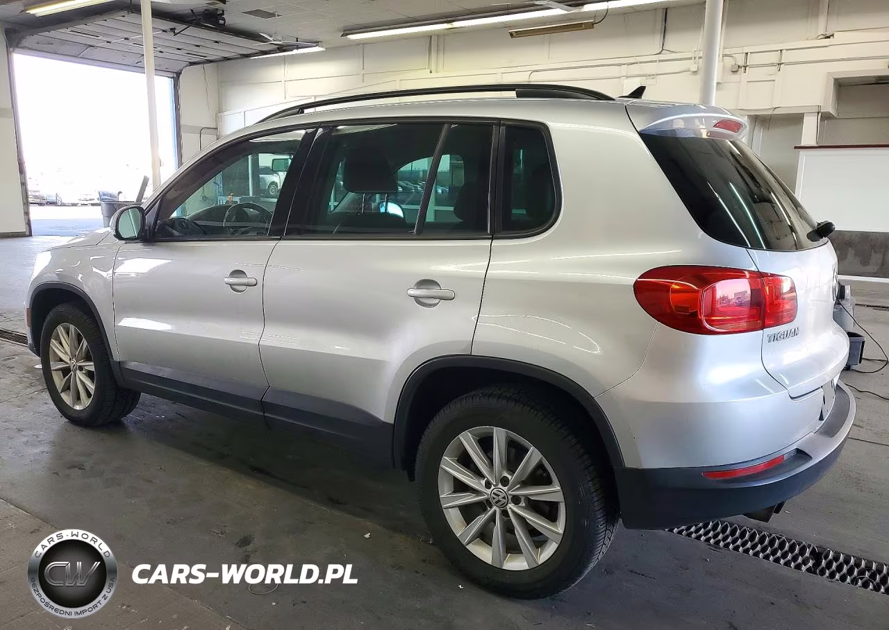 2015 Volkswagen Tiguan S VIN:WVGBV7AX6FW506013 - 2
