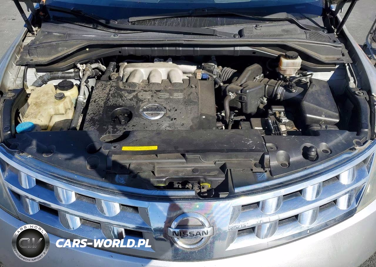 2003 Nissan Murano Sl VIN:JN8AZ08T13W113406 - 12