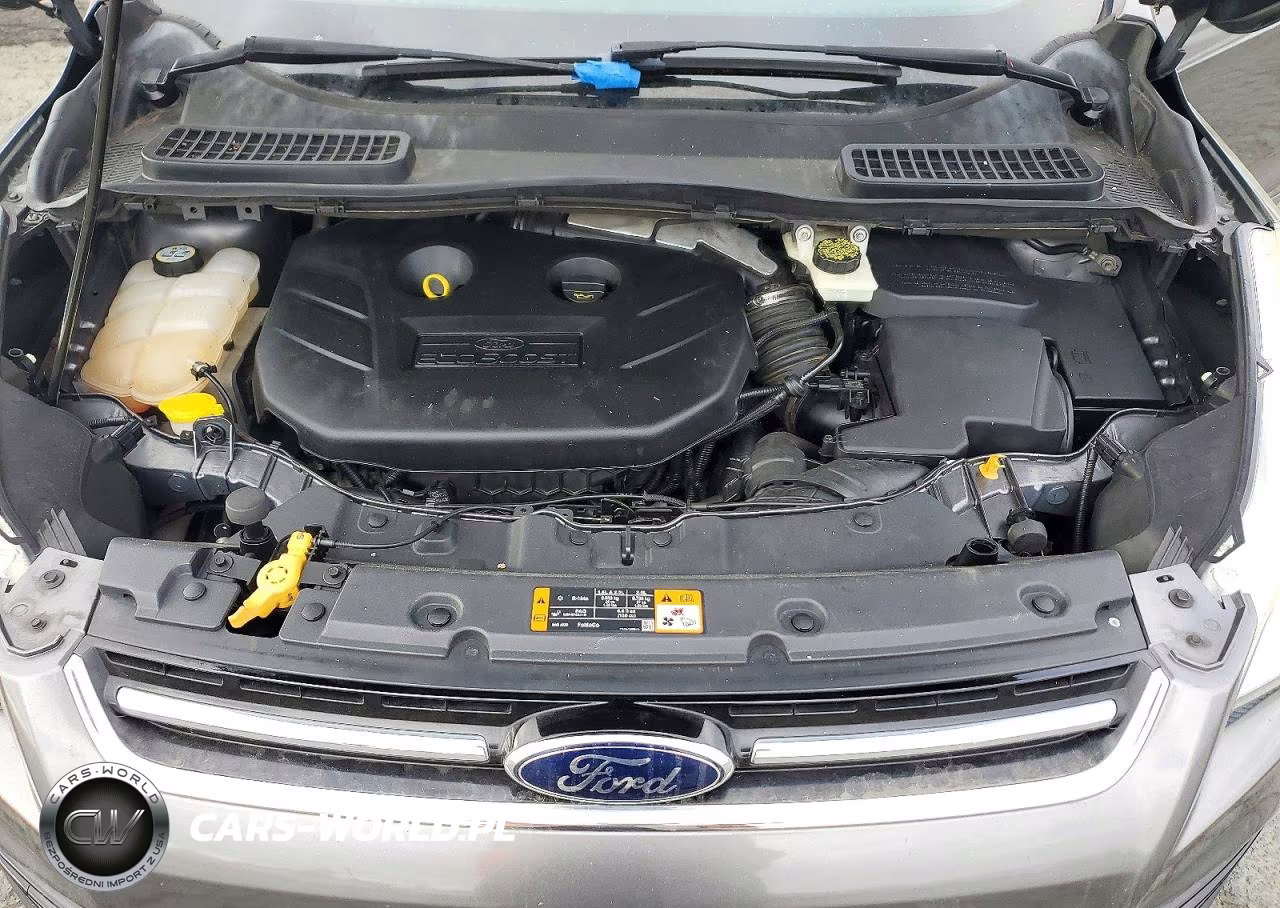 2013 Ford Escape Sel VIN:1FMCU9H98DUA34416 - 12