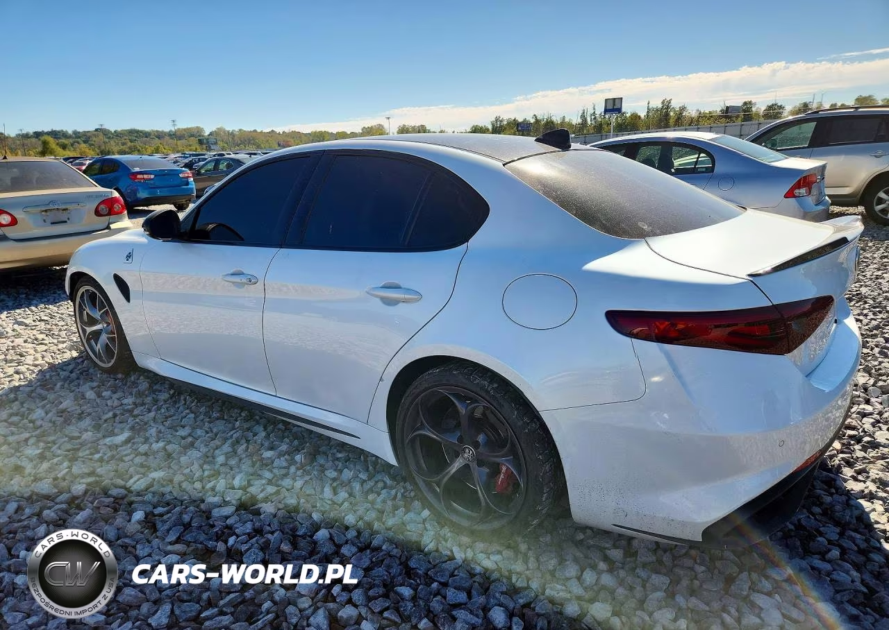 2019 Alfa Romeo Giulia Quadrifoglio VIN:ZARFAMEV1K7616129 - 2