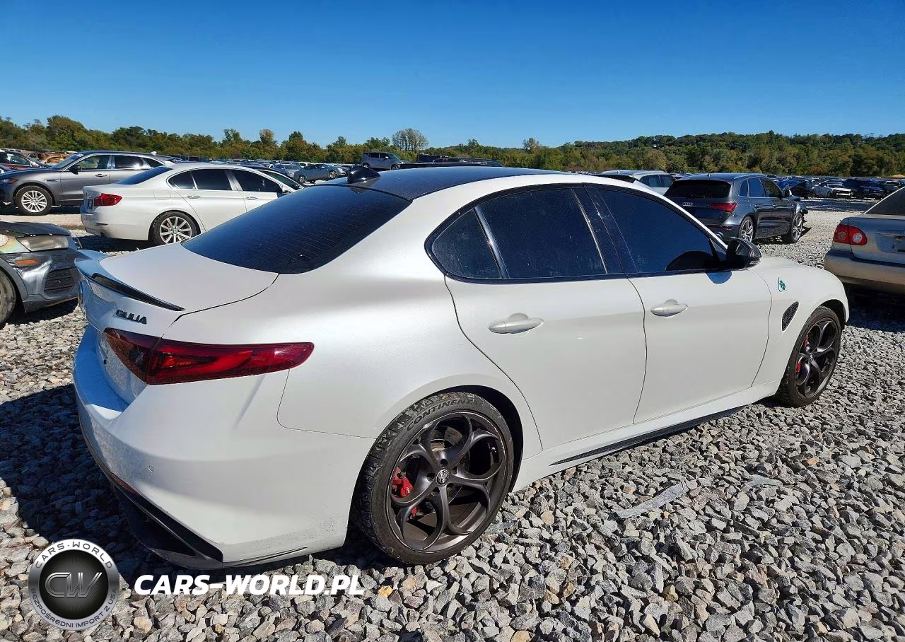 2019 Alfa Romeo Giulia Quadrifoglio VIN:ZARFAMEV1K7616129 - 3