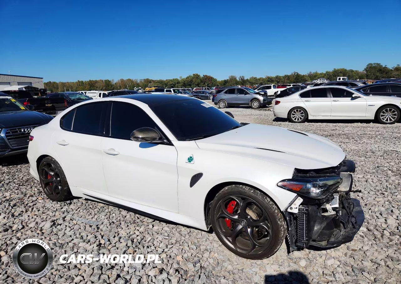 2019 Alfa Romeo Giulia Quadrifoglio VIN:ZARFAMEV1K7616129 - 4
