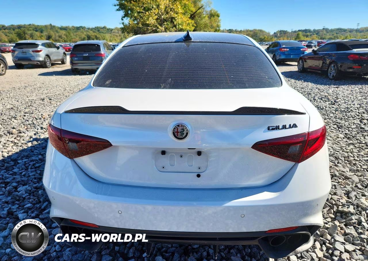 2019 Alfa Romeo Giulia Quadrifoglio VIN:ZARFAMEV1K7616129 - 6