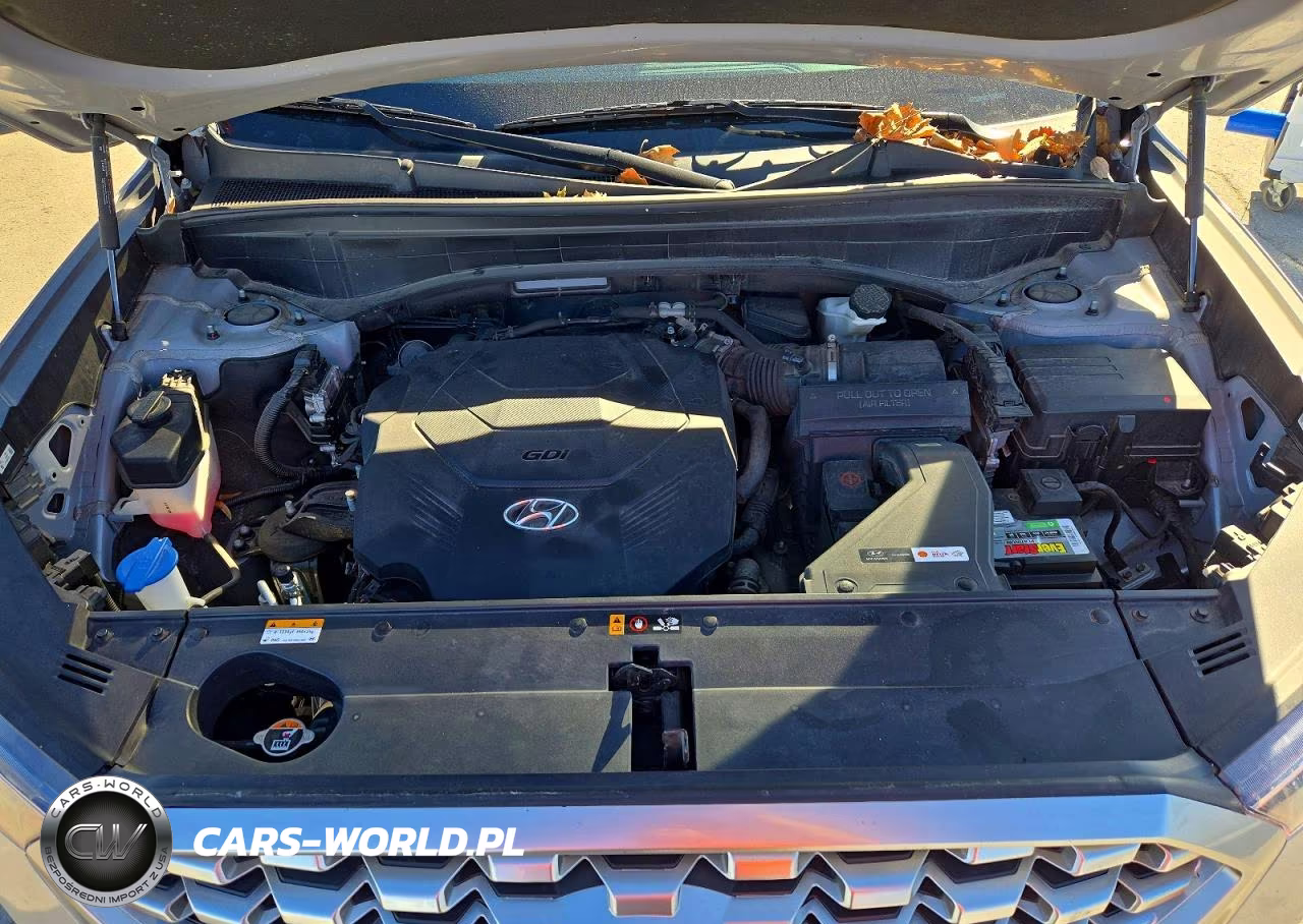 2021 Hyundai Palisade Sel VIN:KM8R4DHE5MU299577 - 12