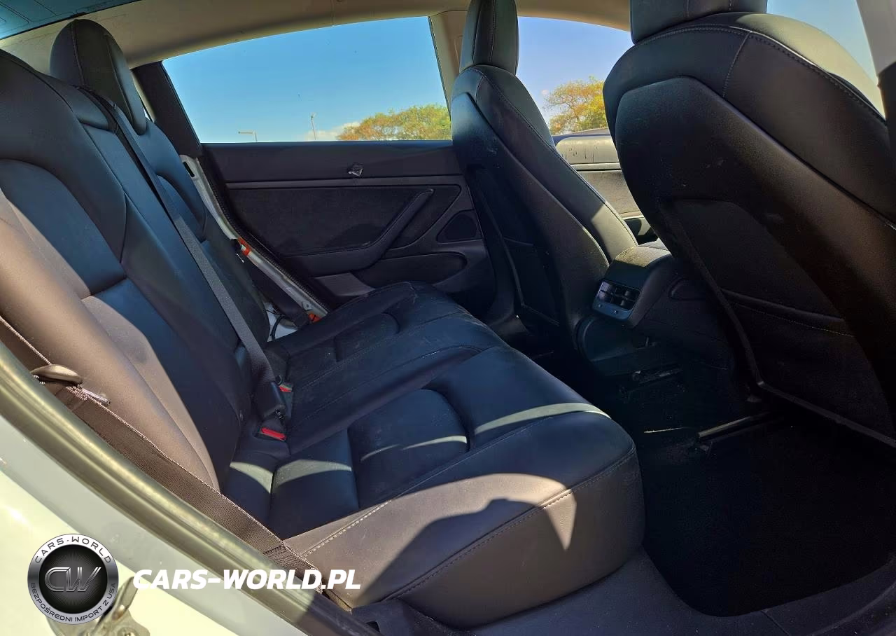 2020 Tesla Model 3 VIN:5YJ3E1EA2LF632607 - 10