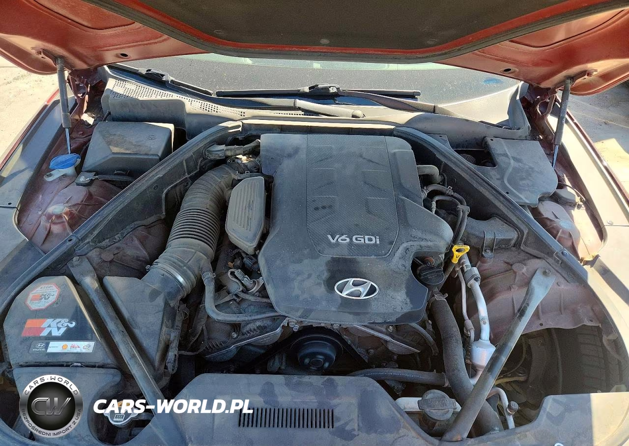2016 Hyundai Genesis 3.8L VIN:KMHGN4JE4GU112350 - 11