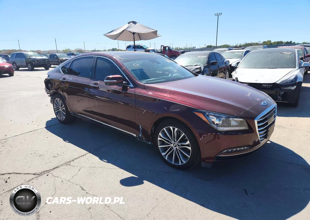 2016 Hyundai Genesis 3.8L VIN:KMHGN4JE4GU112350 - 4