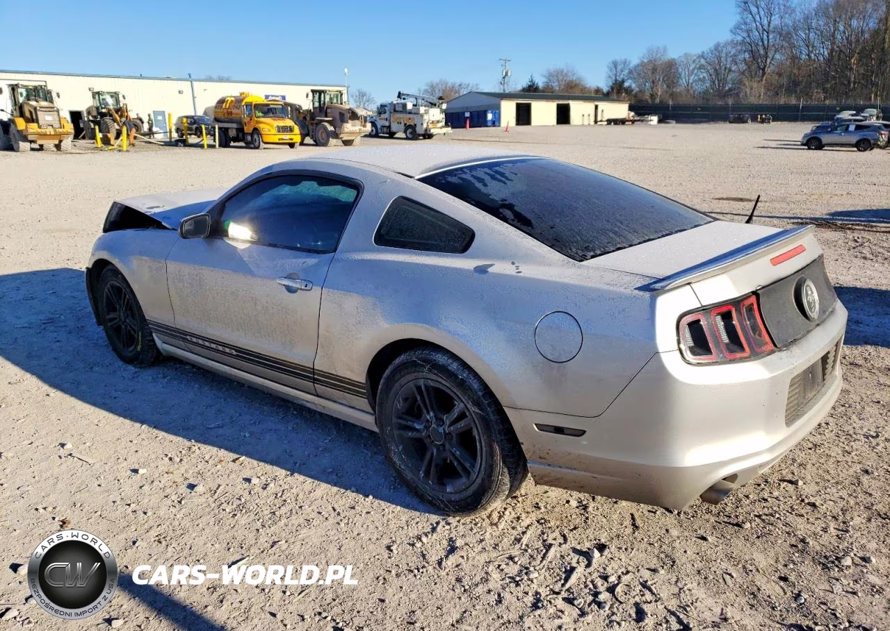 2014 Ford Mustang VIN:1ZVBP8AM9E5218918 - 2