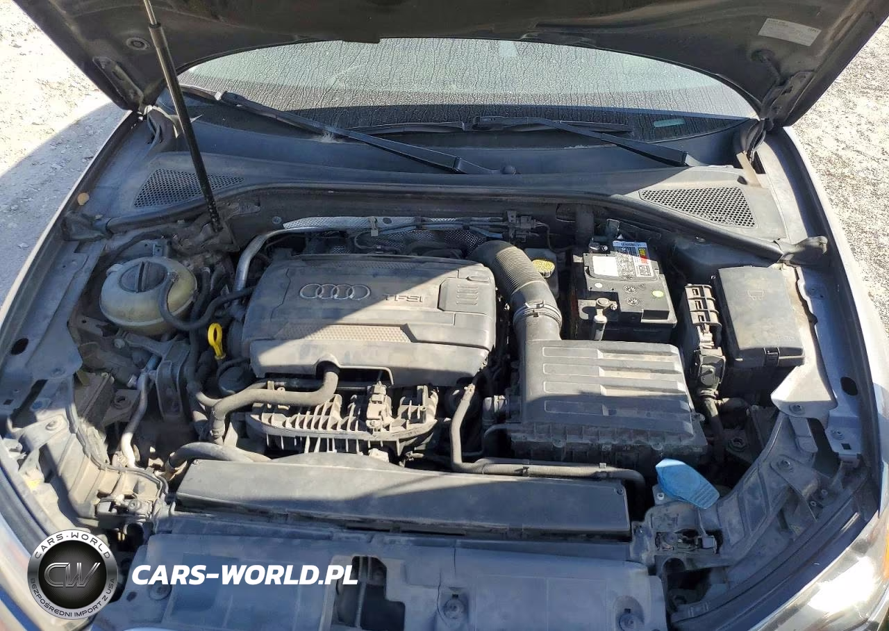 2015 Audi A3 Premium Plus VIN:WAUCCGFF6F1018530 - 11
