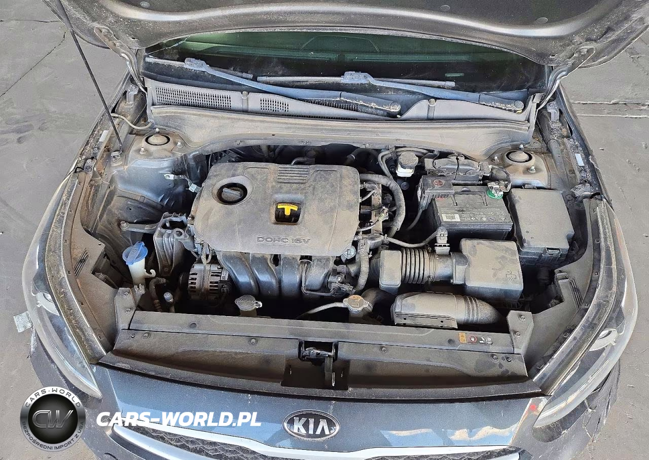 2019 Kia Forte Lxs VIN:3KPF24AD2KE066413 - 11