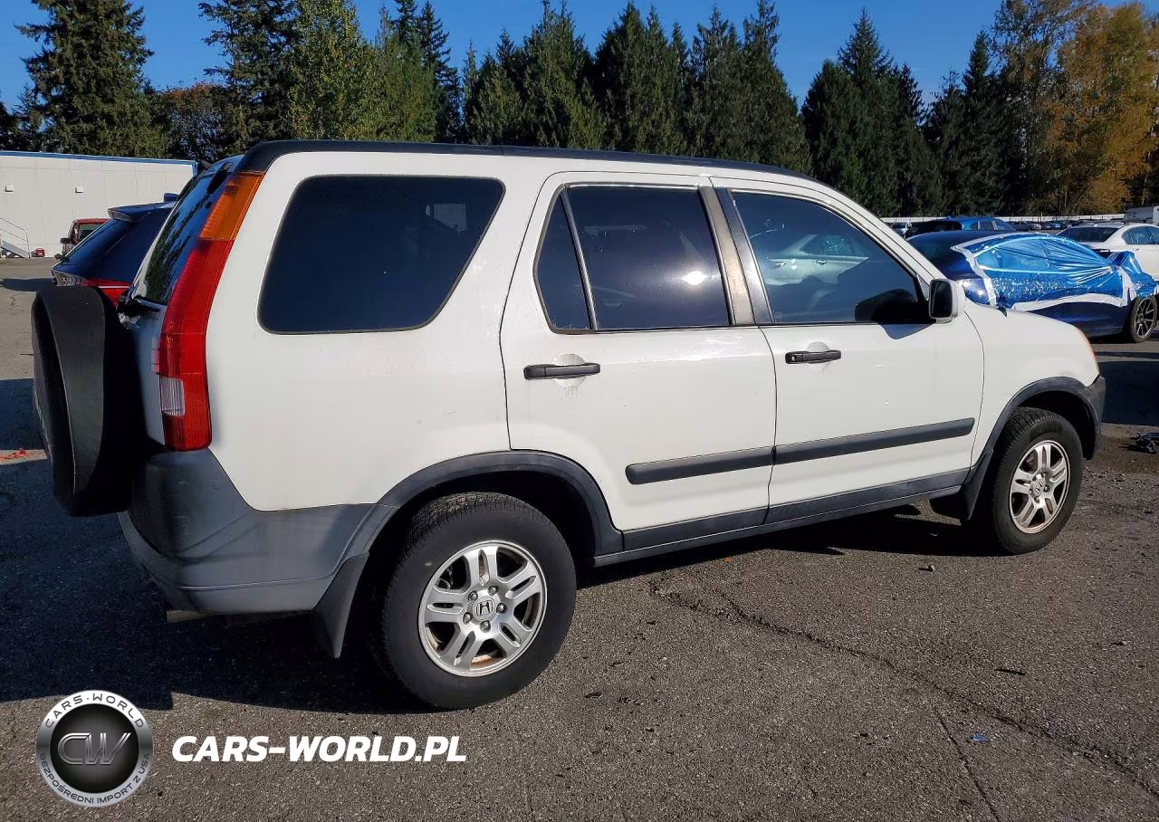 2004 Honda Cr-V Ex VIN:SHSRD78844U254342 - 3