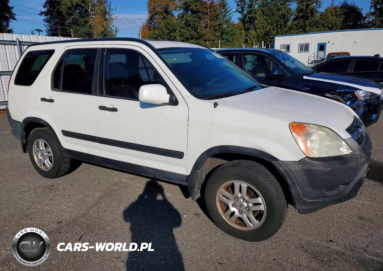 2004 Honda Cr-V Ex VIN:SHSRD78844U254342 - 4