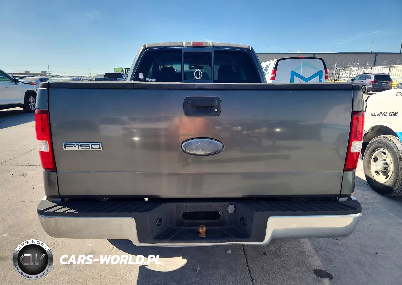 2006 Ford F150 VIN:1FTRX12W66NA54490 - 6