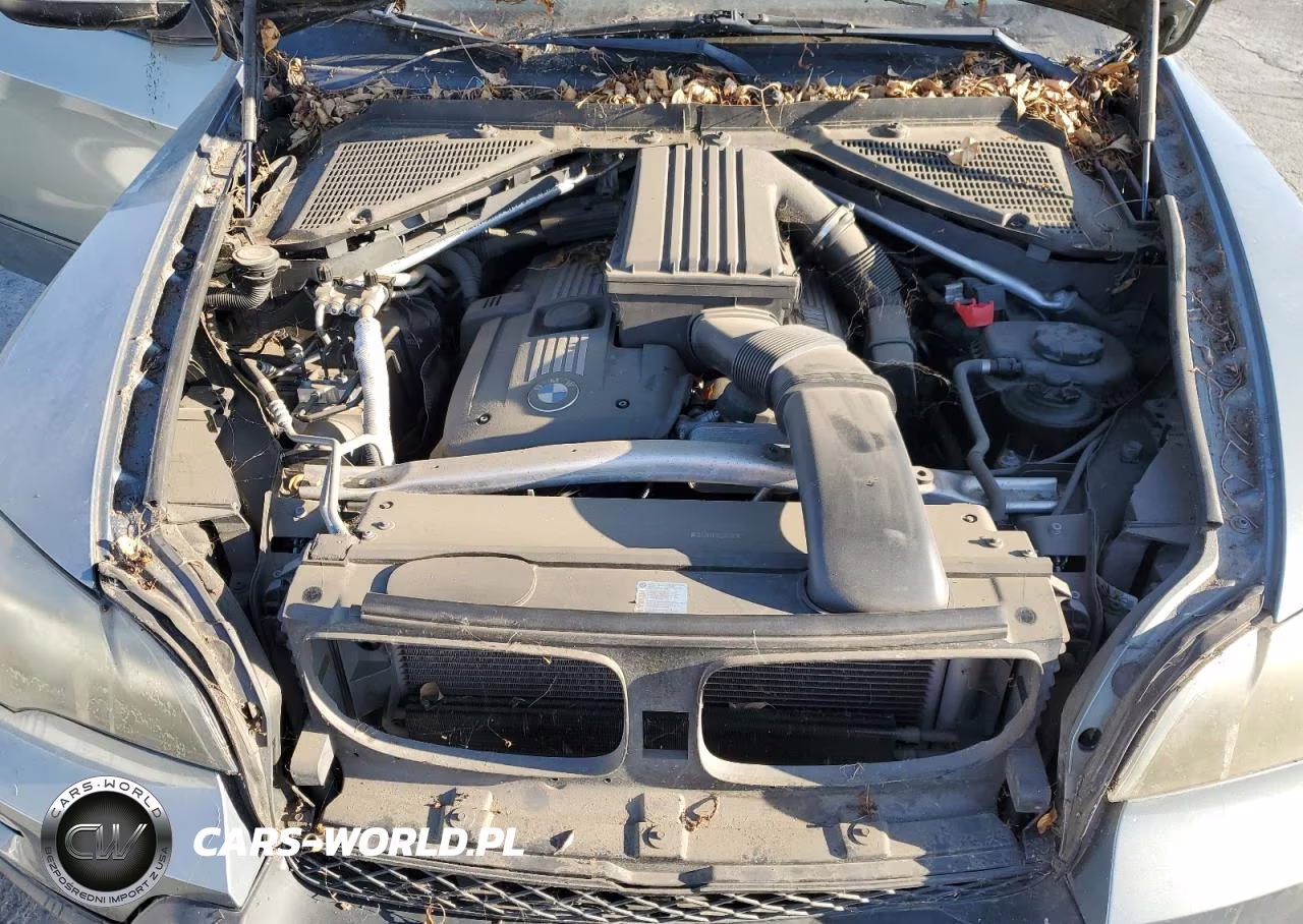 2009 BMW X5 xDrive30I VIN:5UXFE43559L271222 - 12