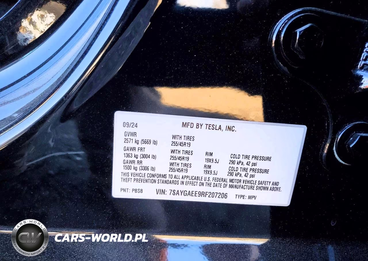 2024 Tesla Model Y VIN:7SAYGAEE9RF207206 - 12