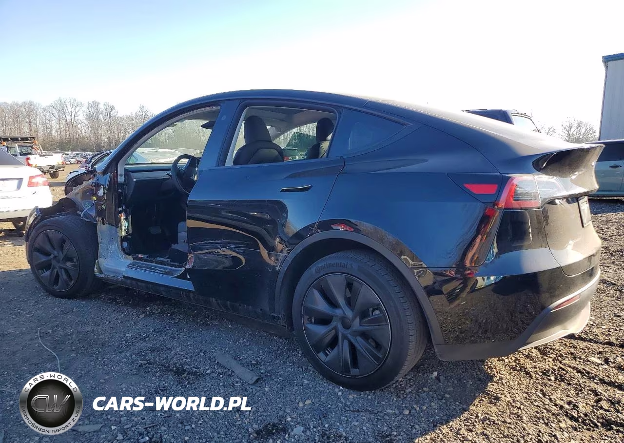 2024 Tesla Model Y VIN:7SAYGAEE9RF207206 - 2