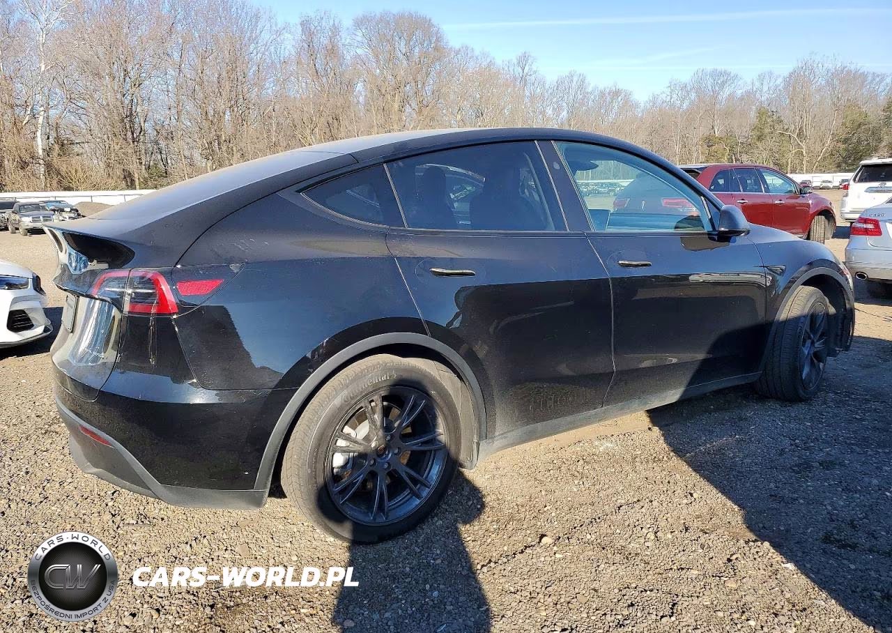 2024 Tesla Model Y VIN:7SAYGAEE9RF207206 - 3