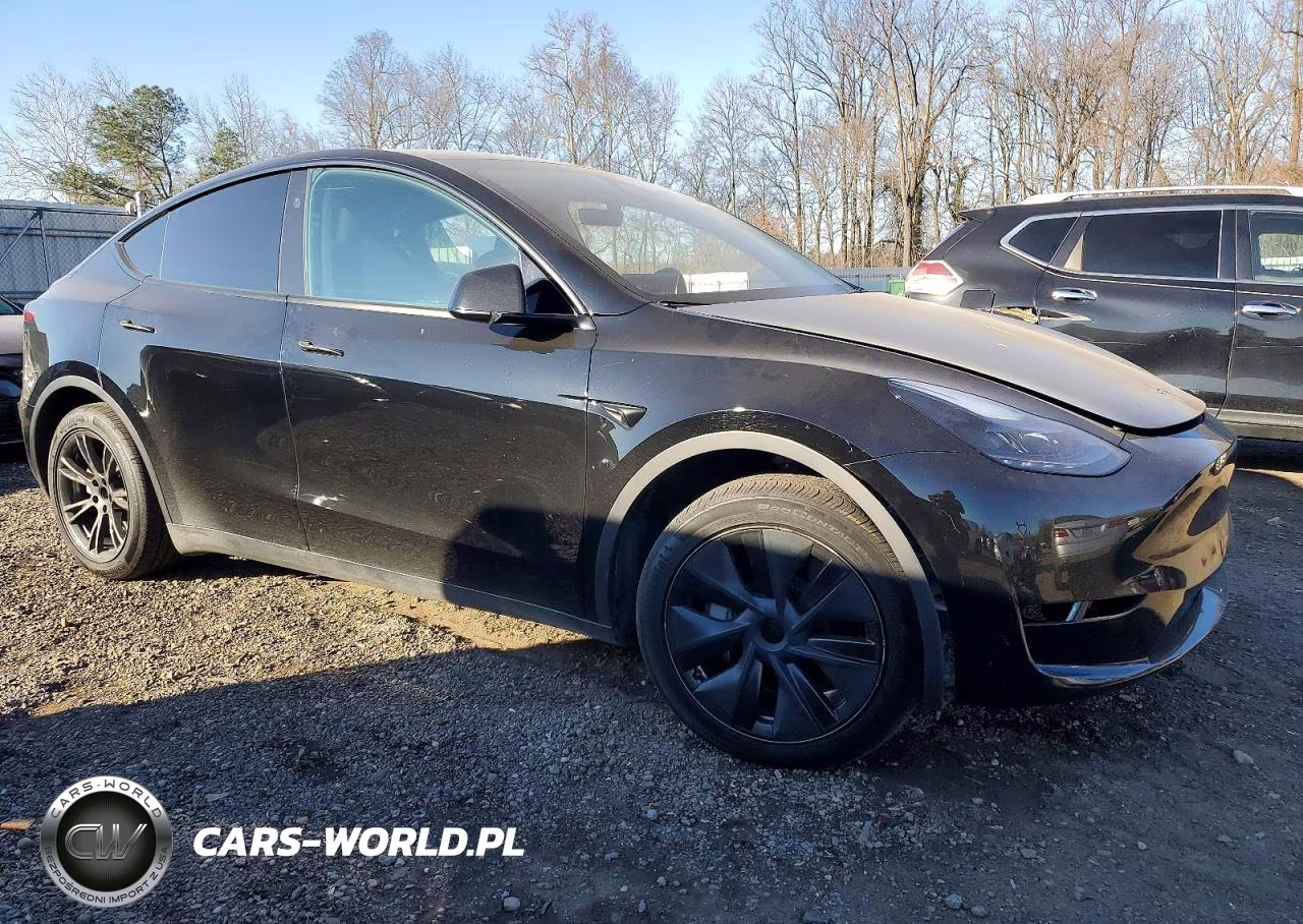 2024 Tesla Model Y VIN:7SAYGAEE9RF207206 - 4