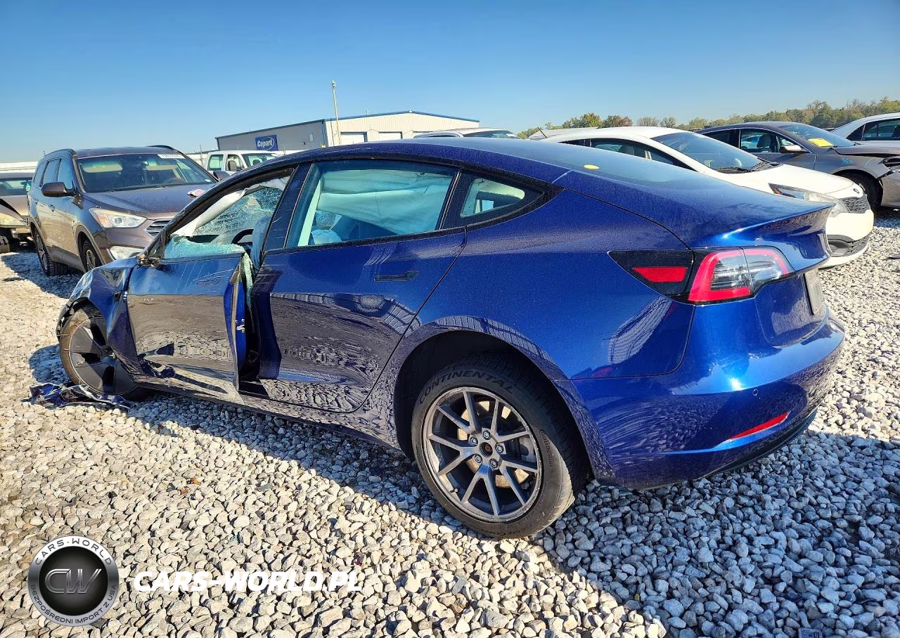 2022 Tesla Model 3 VIN:5YJ3E1EB7NF194503 - 2