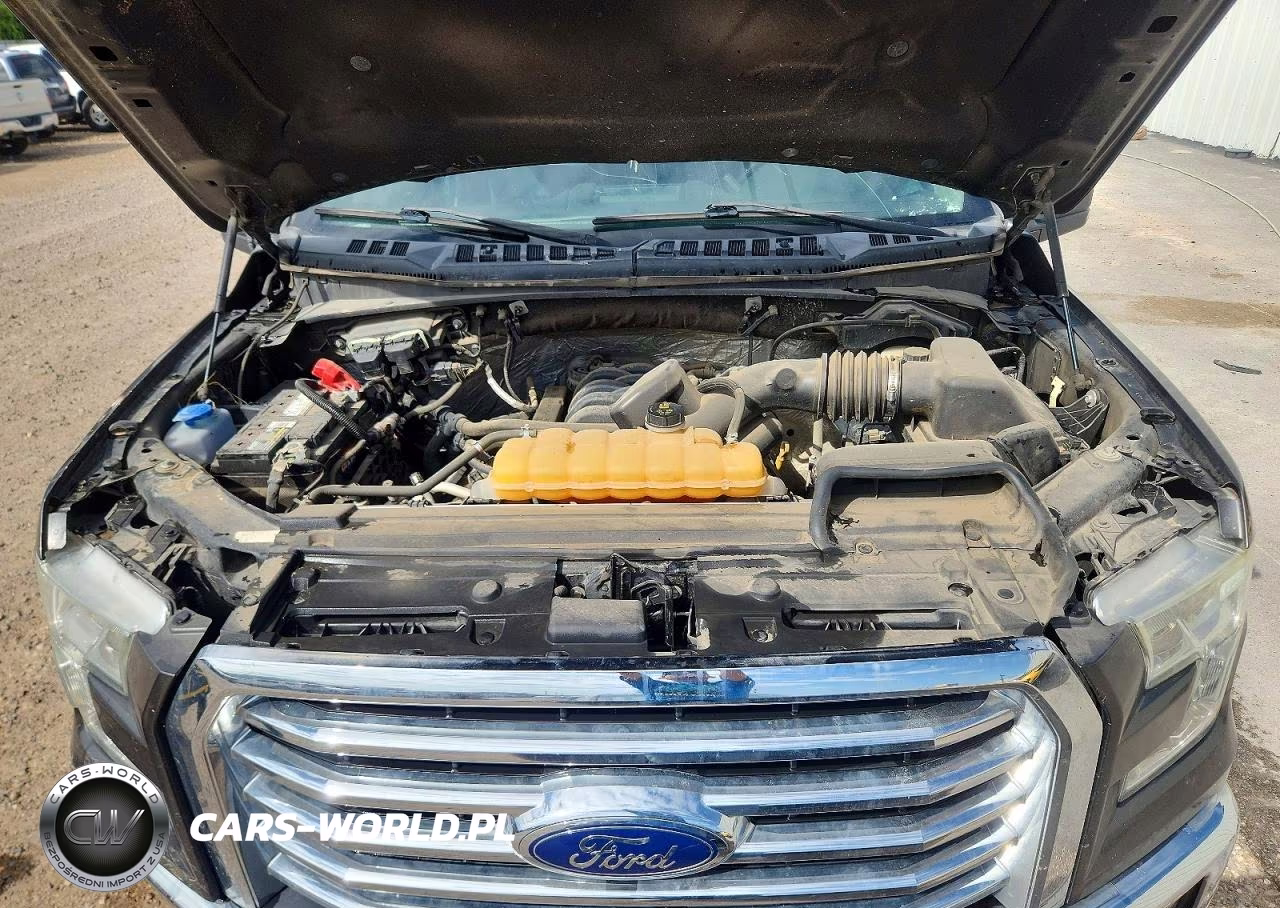 2016 Ford F150 Supercrew VIN:1FTEW1EF4GKD49670 - 11