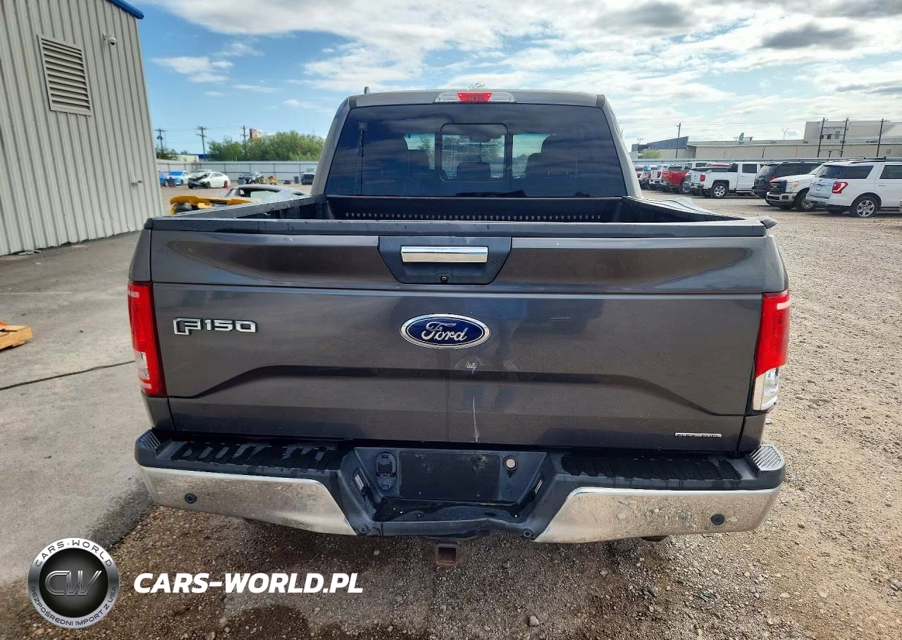 2016 Ford F150 Supercrew VIN:1FTEW1EF4GKD49670 - 6